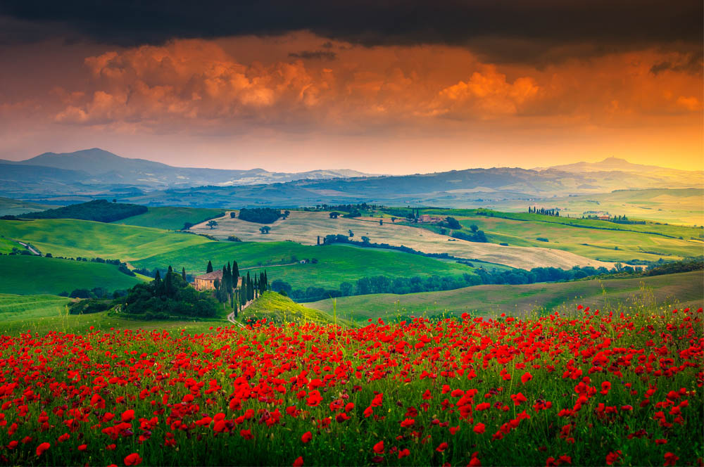 The Best Tuscany Wine Tours